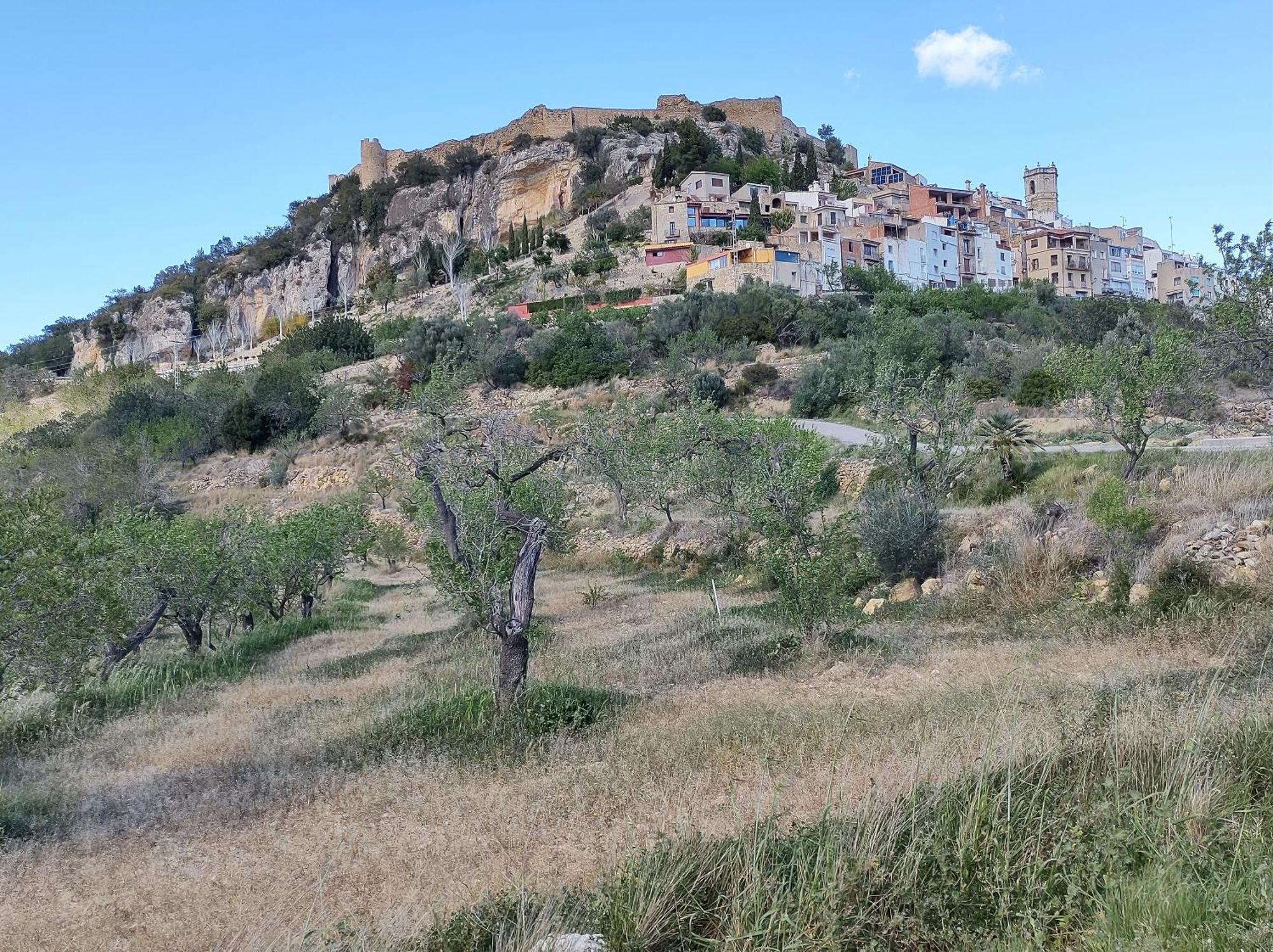 Tranquil And Spacious Townhouse In Historical And Picturesque Cervera Del Maestre Zewnętrze zdjęcie